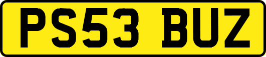 PS53BUZ