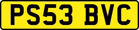 PS53BVC