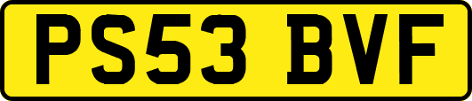 PS53BVF
