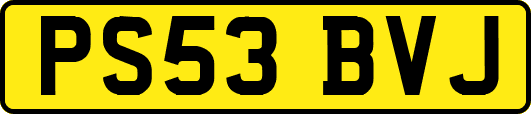 PS53BVJ
