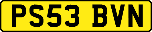 PS53BVN