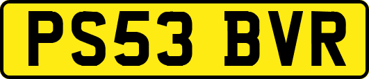 PS53BVR