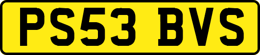 PS53BVS