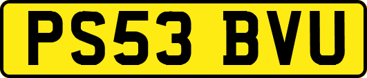 PS53BVU