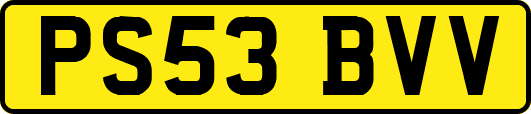 PS53BVV