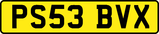 PS53BVX