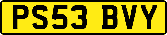PS53BVY
