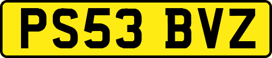 PS53BVZ