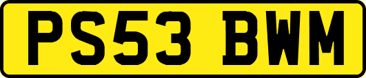 PS53BWM