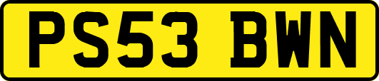 PS53BWN
