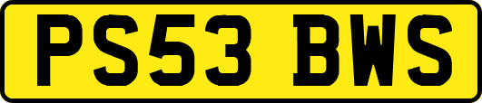 PS53BWS
