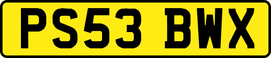 PS53BWX