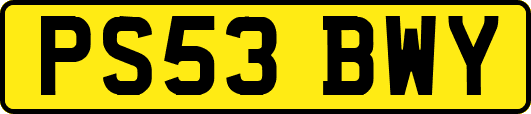 PS53BWY