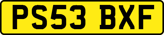 PS53BXF
