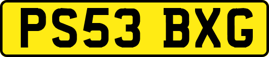 PS53BXG