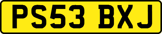 PS53BXJ