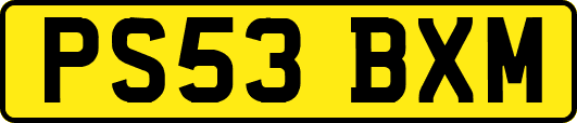 PS53BXM