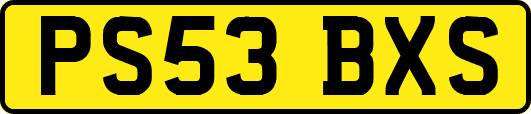 PS53BXS