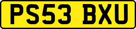 PS53BXU