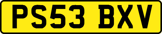 PS53BXV
