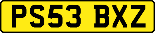 PS53BXZ
