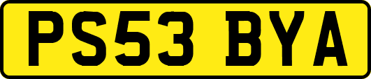 PS53BYA