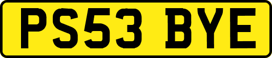 PS53BYE