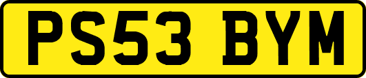 PS53BYM