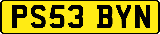 PS53BYN