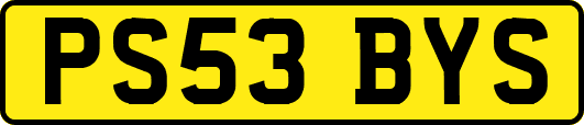 PS53BYS