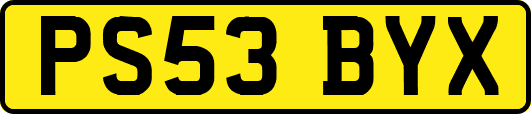 PS53BYX