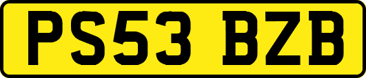 PS53BZB