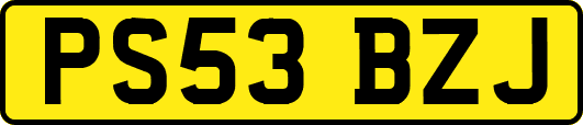 PS53BZJ