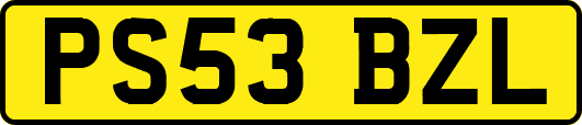 PS53BZL