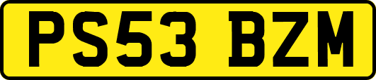 PS53BZM