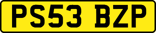 PS53BZP