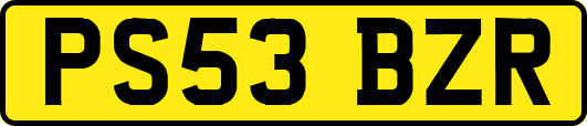 PS53BZR