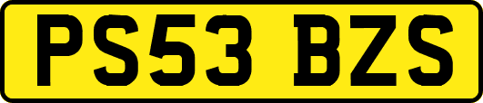 PS53BZS