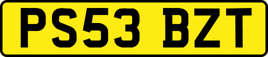 PS53BZT