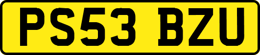 PS53BZU