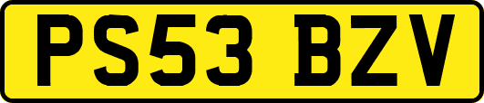 PS53BZV