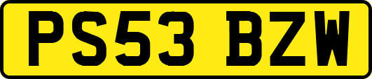 PS53BZW