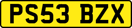 PS53BZX