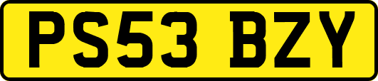 PS53BZY