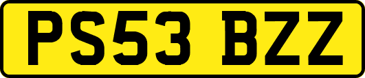 PS53BZZ