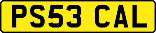 PS53CAL