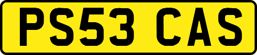 PS53CAS