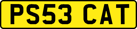 PS53CAT