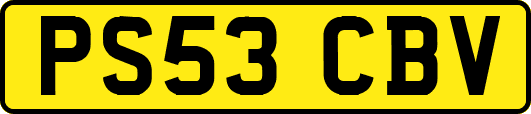 PS53CBV