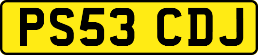 PS53CDJ
